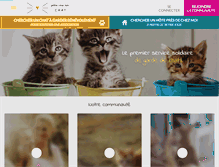 Tablet Screenshot of pretemoitonchat.com